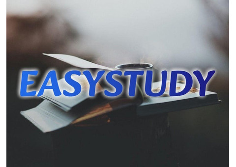 Замовити розробку стартап-проєкту до бакалаврської роботи в Україні