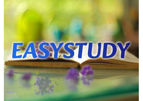 Замовити розробку стартапу до ВКР в Україні