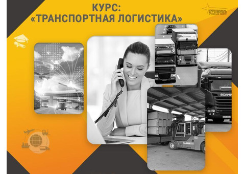 Курс «Транспортная логистика»: профессия с высоким спросом за несколько недель