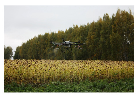 Десикація соняшнику дронами