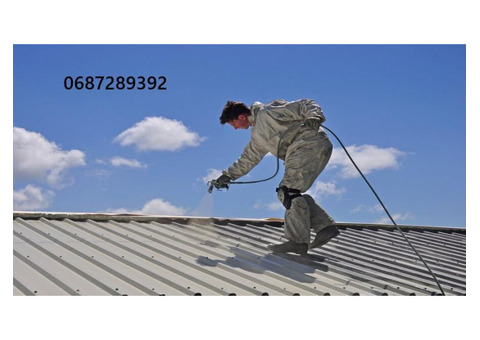 Фарбування дахів: якість, що захищає на роки!