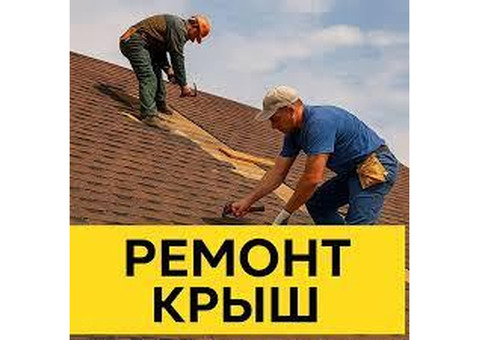 Ремонт крыш Днепр частичный мелкий и капитальный